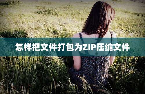 怎样把文件打包为ZIP压缩文件