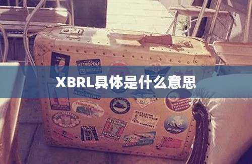 XBRL具体是什么意思