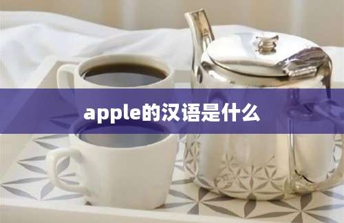 apple的汉语是什么