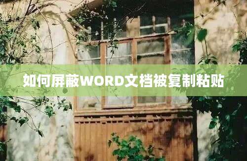 如何屏蔽WORD文档被复制粘贴