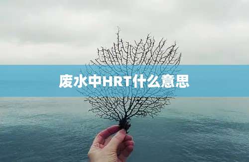 废水中HRT什么意思