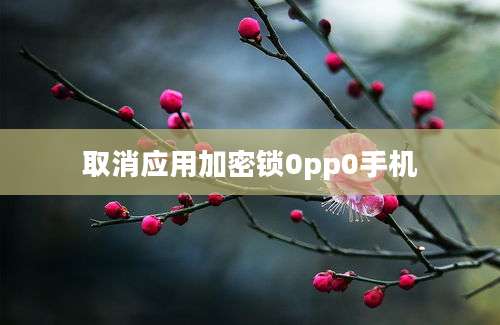 取消应用加密锁0pp0手机