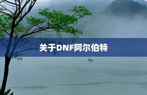 关于DNF阿尔伯特