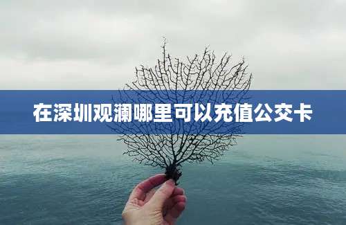 在深圳观澜哪里可以充值公交卡