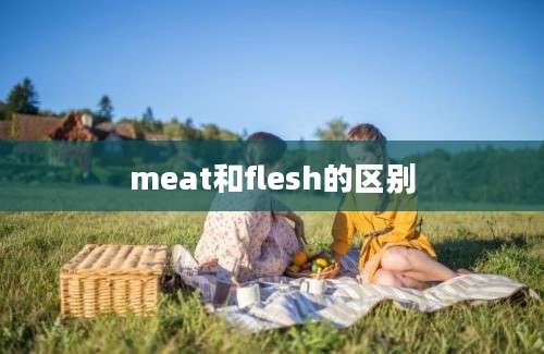 meat和flesh的区别