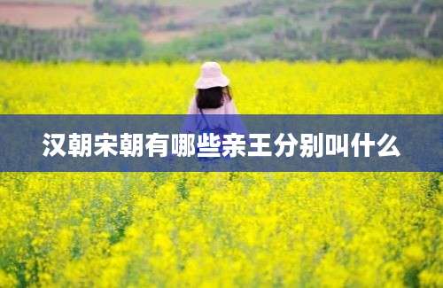 汉朝宋朝有哪些亲王分别叫什么