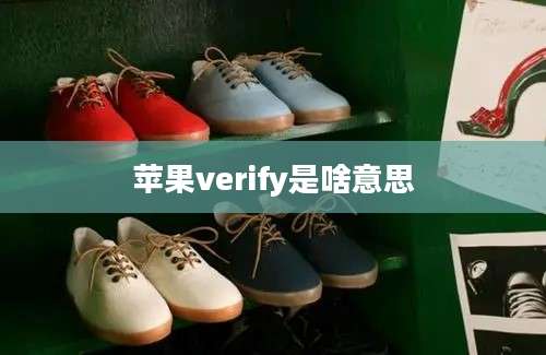 苹果verify是啥意思