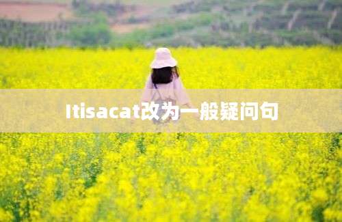 Itisacat改为一般疑问句