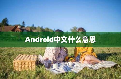 Android中文什么意思