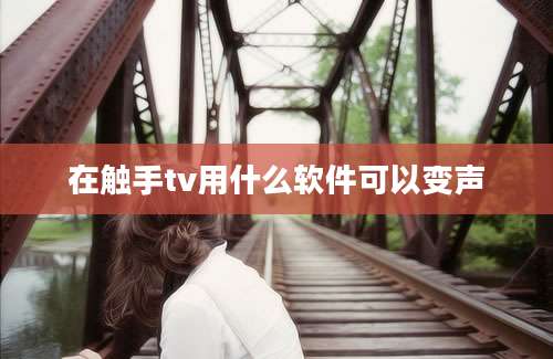 在触手tv用什么软件可以变声