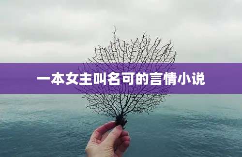 一本女主叫名可的言情小说