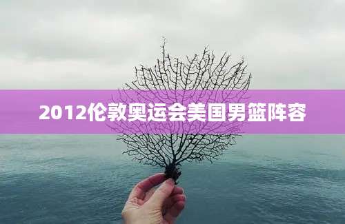 2012伦敦奥运会美国男篮阵容