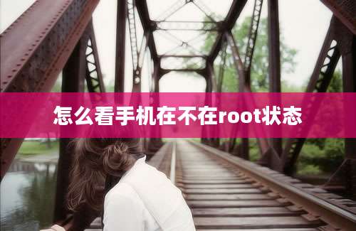 怎么看手机在不在root状态