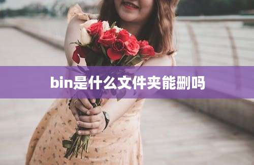 bin是什么文件夹能删吗