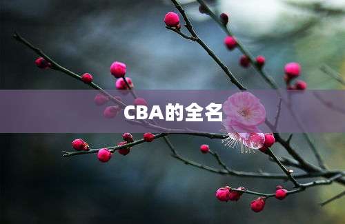 CBA的全名