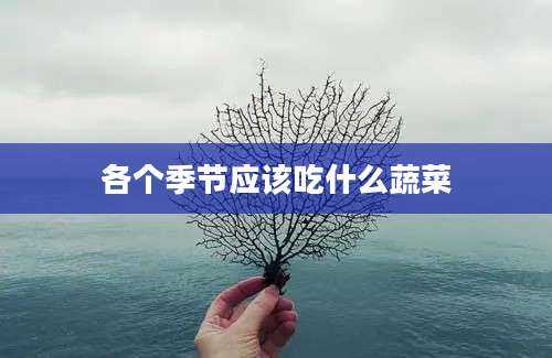 各个季节应该吃什么蔬菜