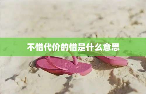 不惜代价的惜是什么意思