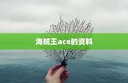 海贼王ace的资料