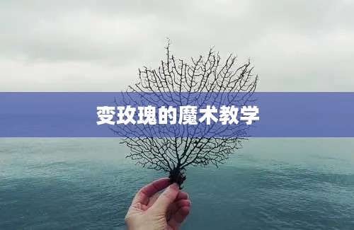 变玫瑰的魔术教学