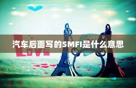 汽车后面写的SMFI是什么意思