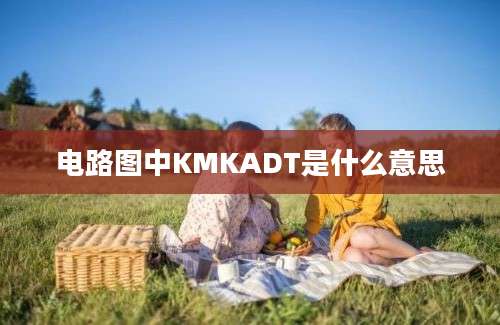 电路图中KMKADT是什么意思