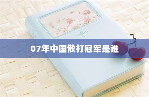 07年中国散打冠军是谁