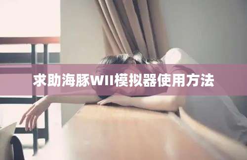 求助海豚WII模拟器使用方法