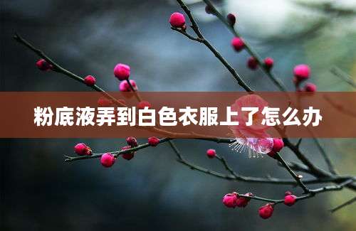 粉底液弄到白色衣服上了怎么办