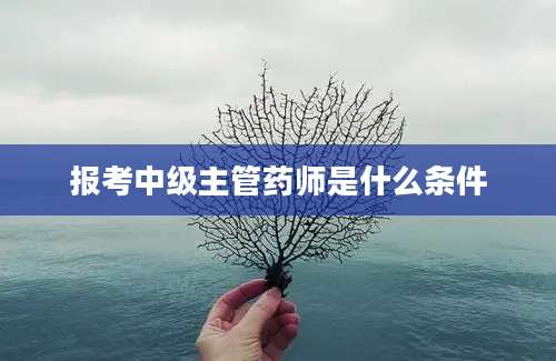 报考中级主管药师是什么条件