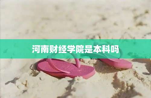 河南财经学院是本科吗