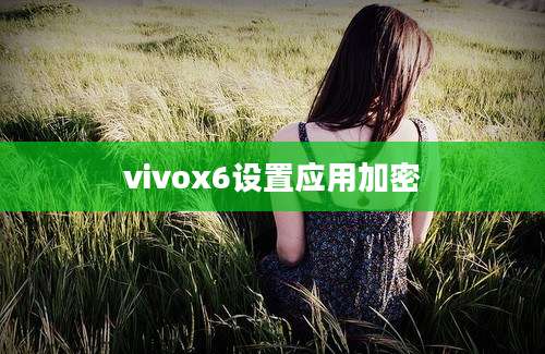 vivox6设置应用加密