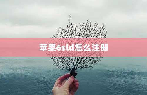 苹果6sld怎么注册