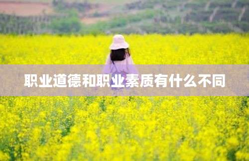 职业道德和职业素质有什么不同