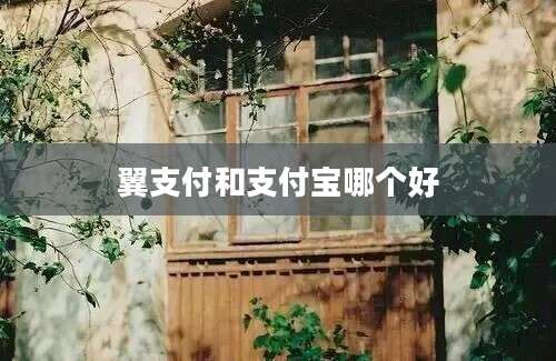 翼支付和支付宝哪个好