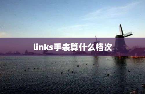 links手表算什么档次