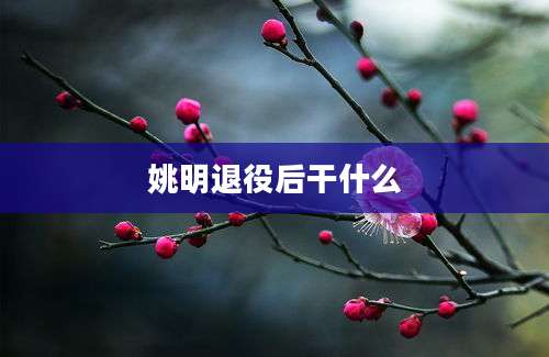 姚明退役后干什么