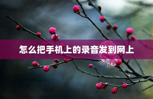 怎么把手机上的录音发到网上