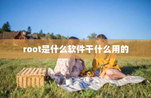 root是什么软件干什么用的