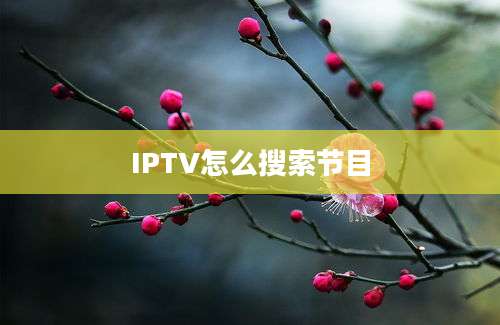 IPTV怎么搜索节目