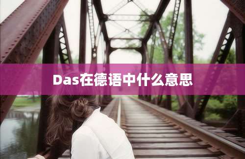 Das在德语中什么意思