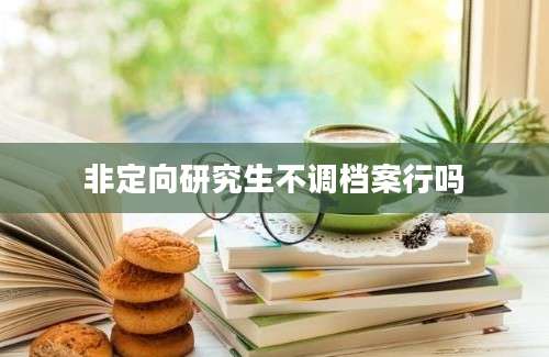 非定向研究生不调档案行吗