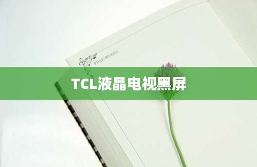 TCL液晶电视黑屏