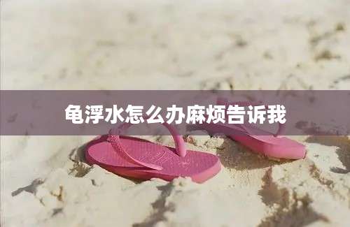 龟浮水怎么办麻烦告诉我