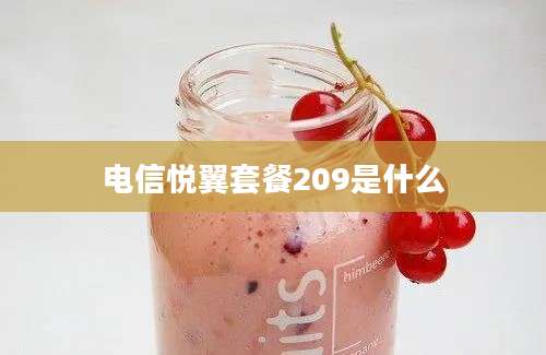 电信悦翼套餐209是什么