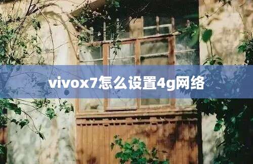 vivox7怎么设置4g网络