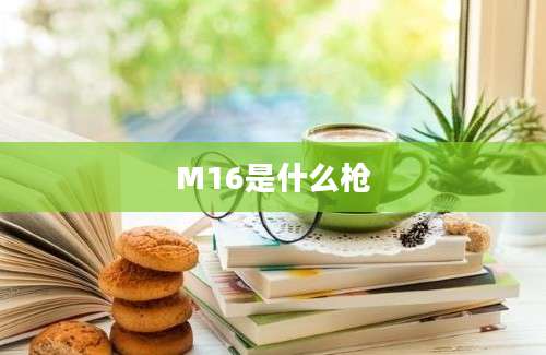 M16是什么枪