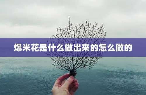 爆米花是什么做出来的怎么做的