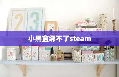 小黑盒绑不了steam