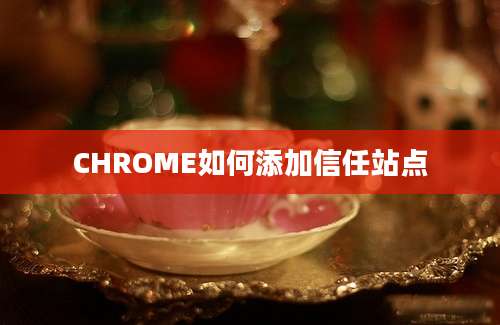 CHROME如何添加信任站点