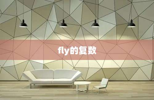 fly的复数